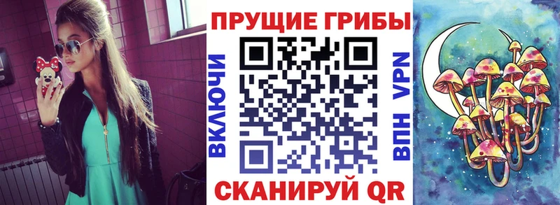 Псилоцибиновые грибы GOLDEN TEACHER  мега зеркало  Питкяранта 